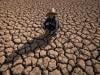 الجفاف بالمغرب يرفع معدل البطالة إلى مستويات قياسية في العالم القروي